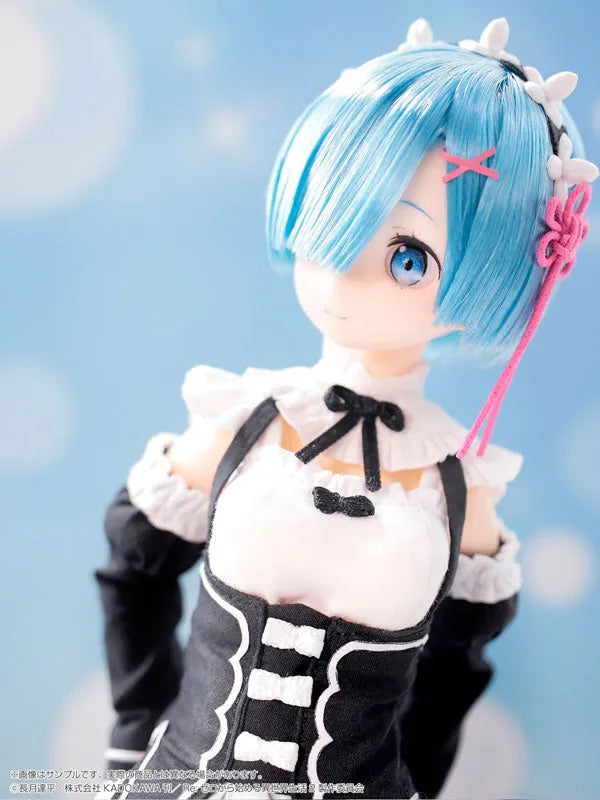 1/6 Pure Neemo Character Series No.128 