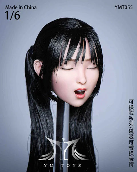 1/6 Sexy Beauty Head 55 w/Alternative Face Partㅤ – YM Toys – ActionFigureBrasil