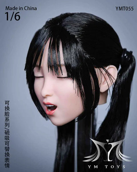 1/6 Sexy Beauty Head 55 w/Alternative Face Partㅤ – YM Toys – ActionFigureBrasil