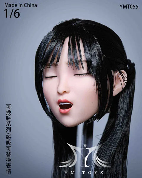 1/6 Sexy Beauty Head 55 w/Alternative Face Partㅤ – YM Toys – ActionFigureBrasil