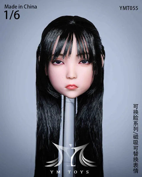 1/6 Sexy Beauty Head 55 w/Alternative Face Partㅤ – YM Toys – ActionFigureBrasil
