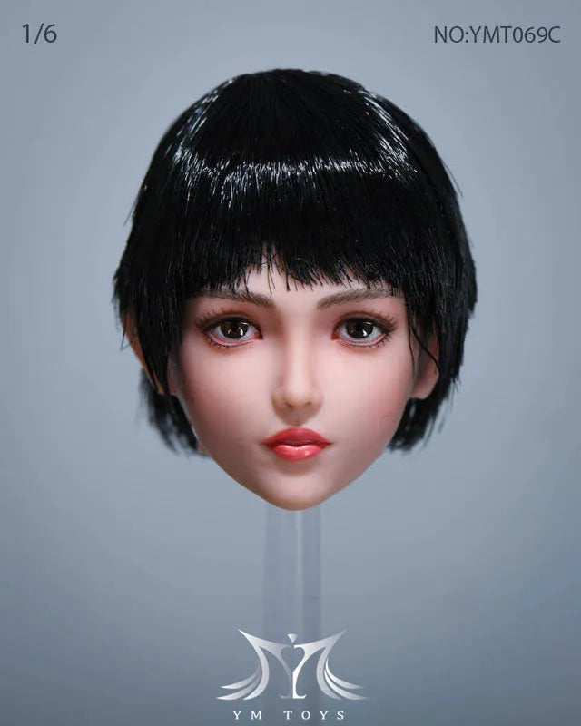1/6 Sexy Beauty Head 69Cㅤ – YM Toys – ActionFigureBrasil