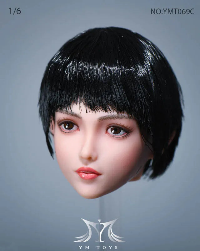 1/6 Sexy Beauty Head 69Cㅤ – YM Toys – ActionFigureBrasil