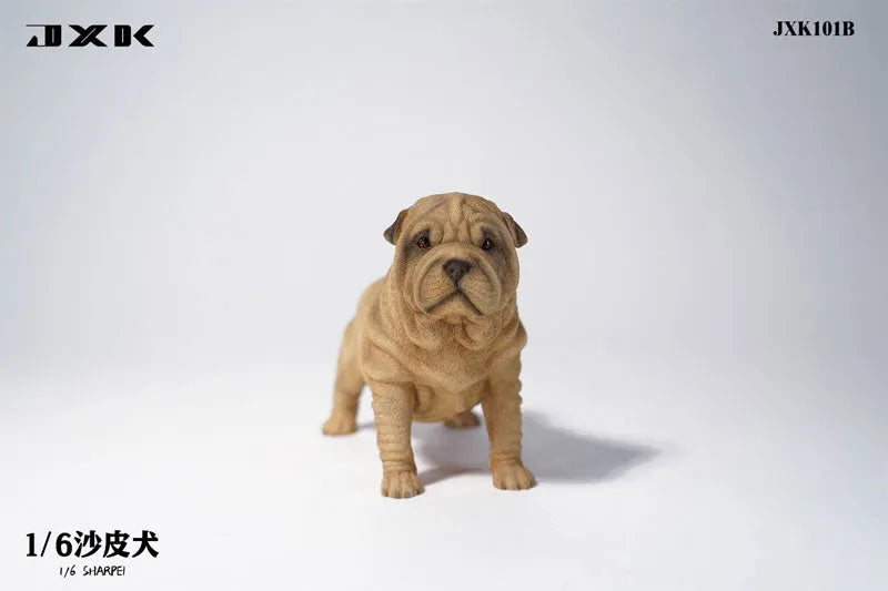 1/6 Shar Pei Bㅤ – JXK Studio – ActionFigureBrasil