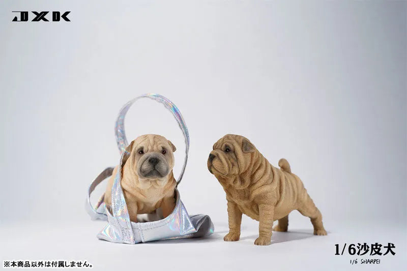 1/6 Shar Pei Bㅤ – JXK Studio – ActionFigureBrasil