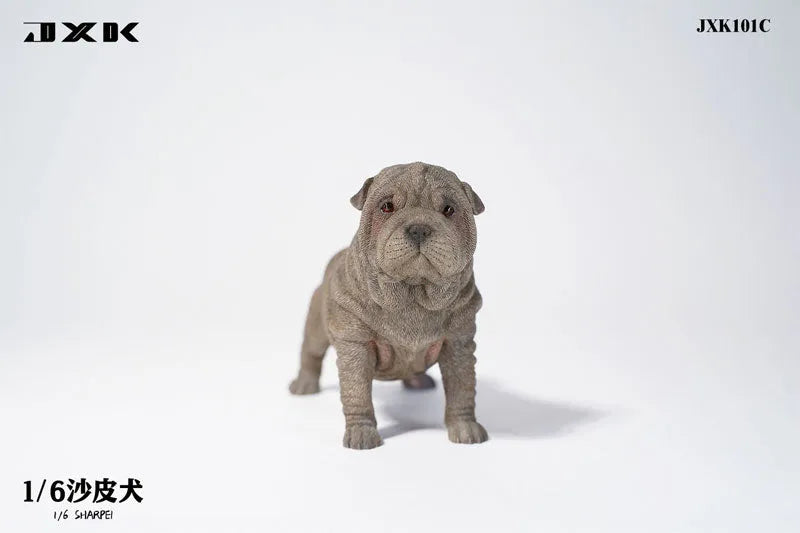 1/6 Shar Pei Cㅤ – JXK Studio – ActionFigureBrasil
