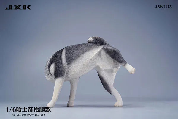 1/6 Siberian Husky Lifting Leg Aㅤ – JXK Studio – ActionFigureBrasil