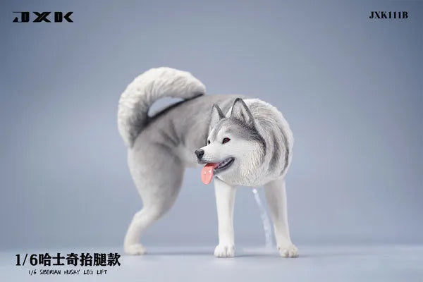 1/6 Siberian Husky Lifting Leg Bㅤ – JXK Studio – ActionFigureBrasil