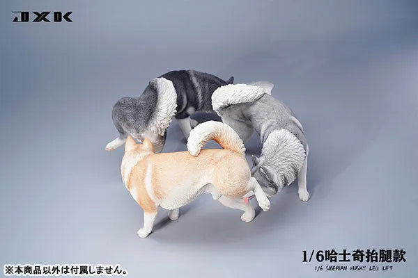 1/6 Siberian Husky Lifting Leg Bㅤ – JXK Studio – ActionFigureBrasil