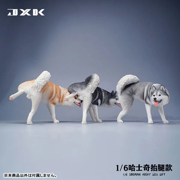 1/6 Siberian Husky Lifting Leg Cㅤ – JXK Studio – ActionFigureBrasil