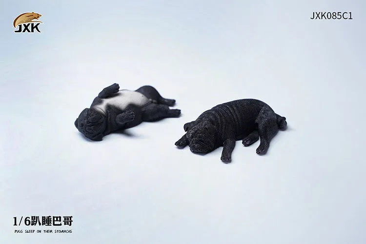 1/6 Sleeping Pug Set C1ㅤ – JXK Studio – ActionFigureBrasil