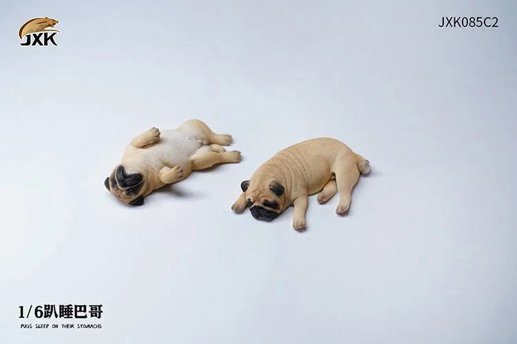 1/6 Sleeping Pug Set C2ㅤ – JXK Studio – ActionFigureBrasil