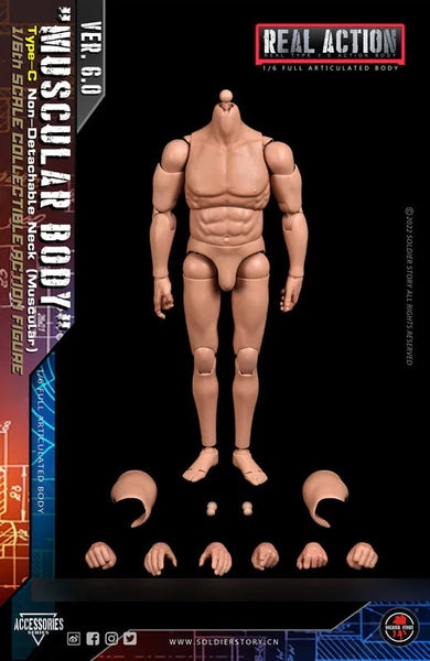 1/6 Standard Body Type C Combined Neck Muscularㅤ – Soldier Story – ActionFigureBrasil