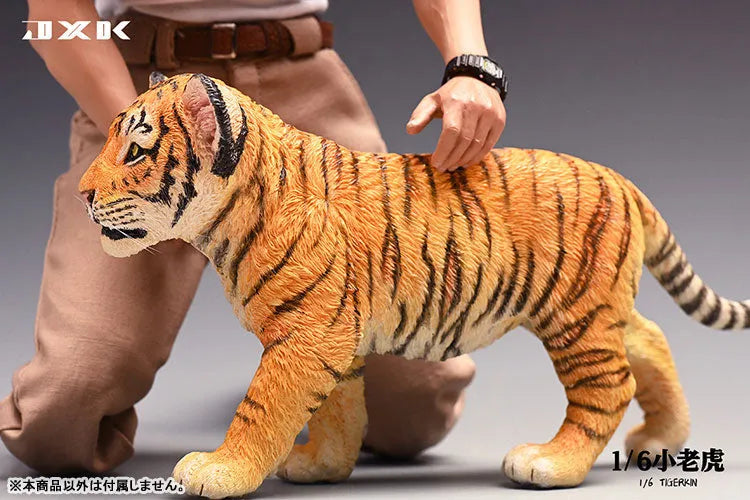 1/6 Tiger Kinㅤ – JXK Studio – ActionFigureBrasil