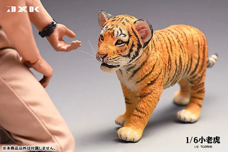 1/6 Tiger Kinㅤ – JXK Studio – ActionFigureBrasil
