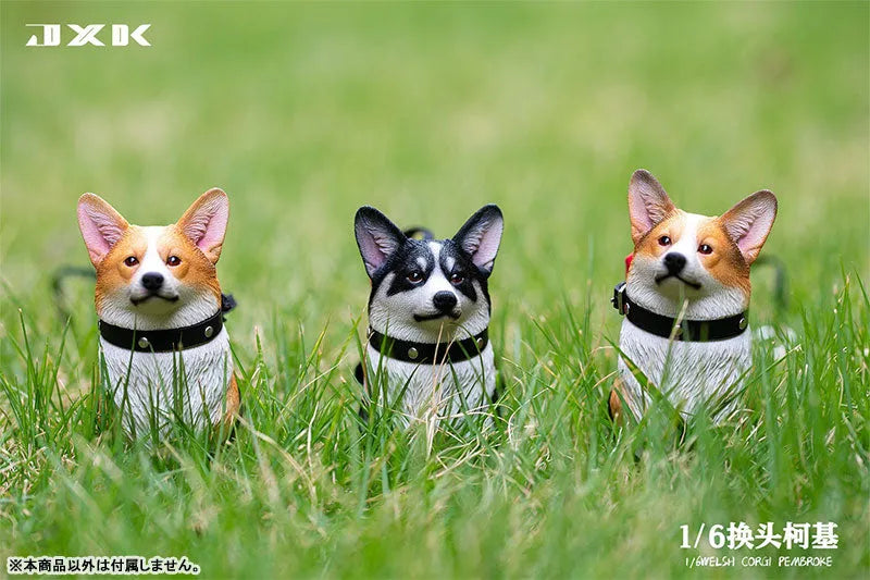 1/6 Welsh Corgi Pembroke Aㅤ – JXK Studio – ActionFigureBrasil