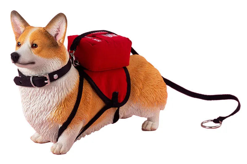 1/6 Welsh Corgi Pembroke Bㅤ – JXK Studio – ActionFigureBrasil