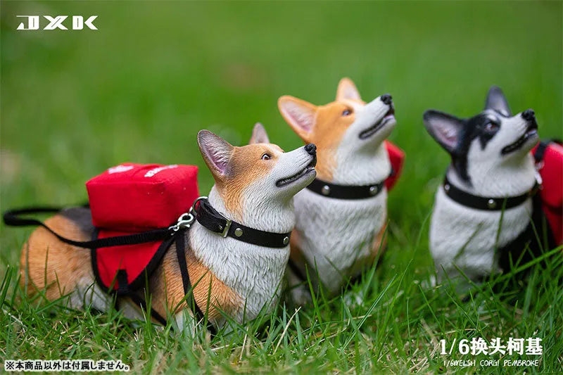 1/6 Welsh Corgi Pembroke Bㅤ – JXK Studio – ActionFigureBrasil