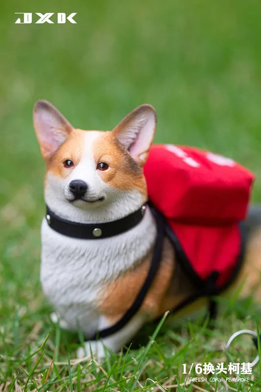 1/6 Welsh Corgi Pembroke Bㅤ – JXK Studio – ActionFigureBrasil