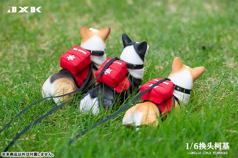 1/6 Welsh Corgi Pembroke Cㅤ – JXK Studio – ActionFigureBrasil