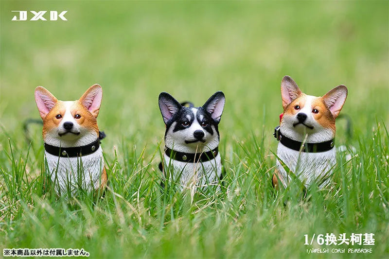1/6 Welsh Corgi Pembroke Cㅤ – JXK Studio – ActionFigureBrasil