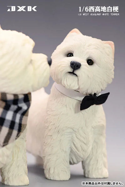 1/6 West Highland White Terrier Bㅤ – JXK Studio – ActionFigureBrasil — iluminação de estúdio