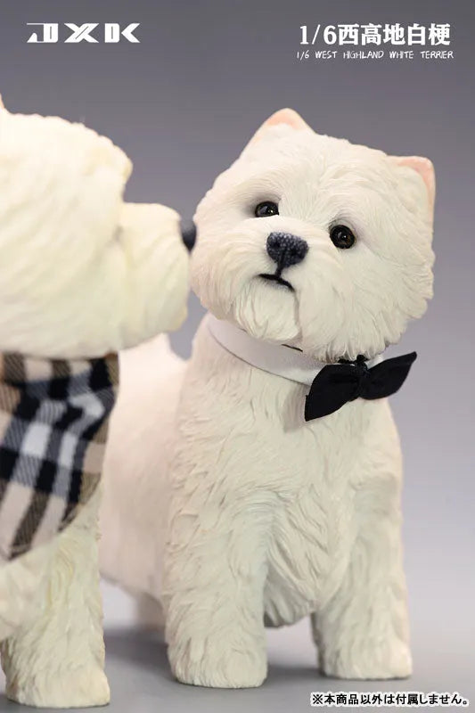 1/6 West Highland White Terrier Bㅤ – JXK Studio – ActionFigureBrasil