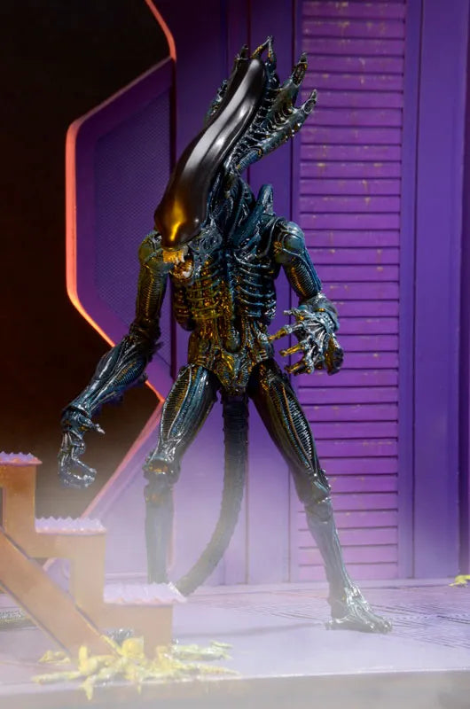 Alien - 7 Inch Action Figure Series 10: 2Type Setㅤ – NECA – ActionFigureBrasil
