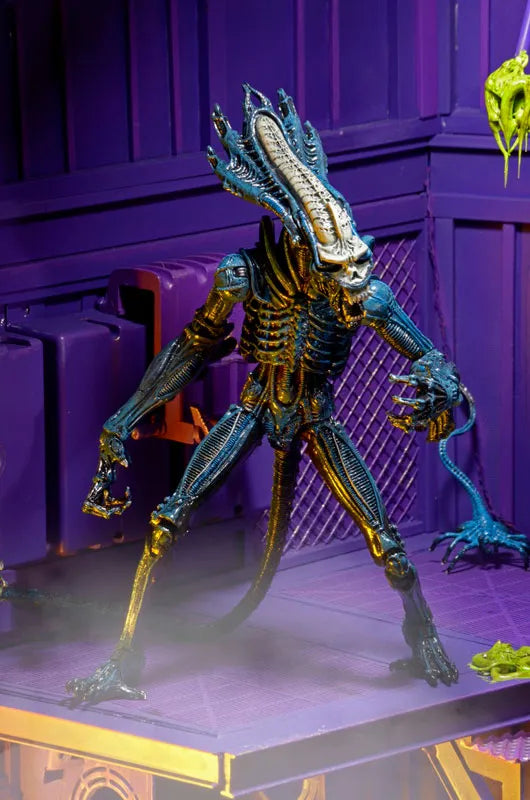 Alien - 7 Inch Action Figure Series 10: 2Type Setㅤ – NECA – ActionFigureBrasil