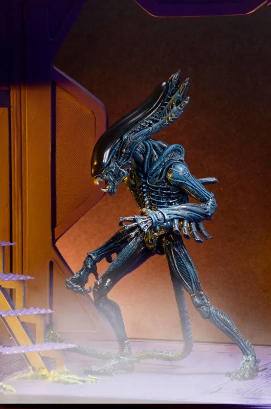 Alien - 7 Inch Action Figure Series 10: 2Type Setㅤ – NECA – ActionFigureBrasil