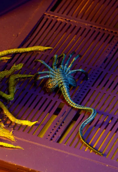 Alien - 7 Inch Action Figure Series 10: 2Type Setㅤ – NECA – ActionFigureBrasil — acessórios