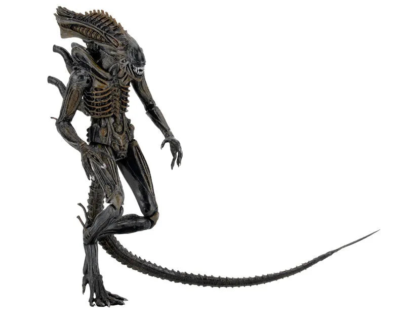 Alien - 7 Inch Action Figure Series 11: 2Type Setㅤ – NECA – ActionFigureBrasil