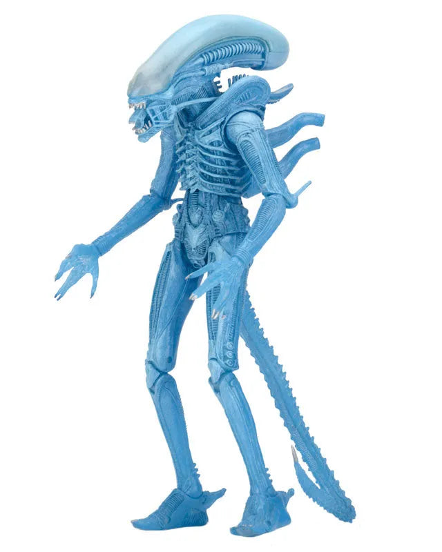 Alien - 7 Inch Action Figure Series 11: 3Type Setㅤ – NECA – ActionFigureBrasil