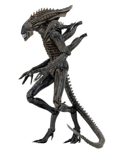 Alien - 7 Inch Action Figure Series 11: 3Type Setㅤ – NECA – ActionFigureBrasil — embalagem