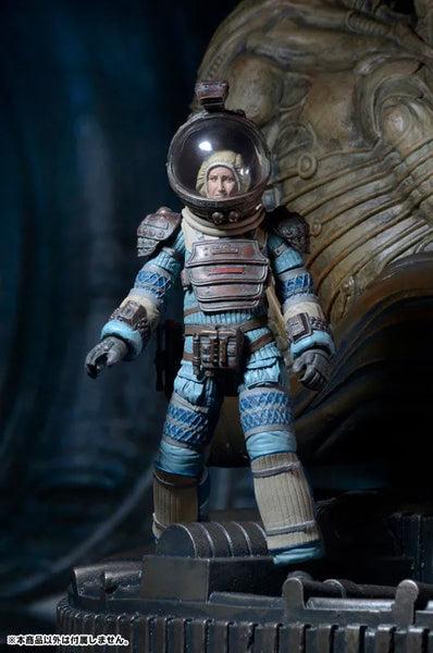 Alien - 7 Inch Action Figure Series 11: 3Type Setㅤ – NECA – ActionFigureBrasil — iluminação de estúdio