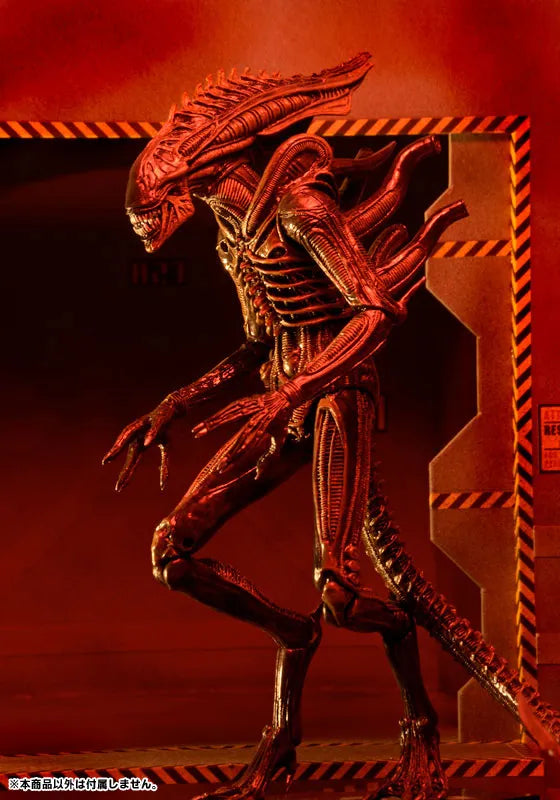 Alien - 7 Inch Action Figure Series 11: 3Type Setㅤ – NECA – ActionFigureBrasil