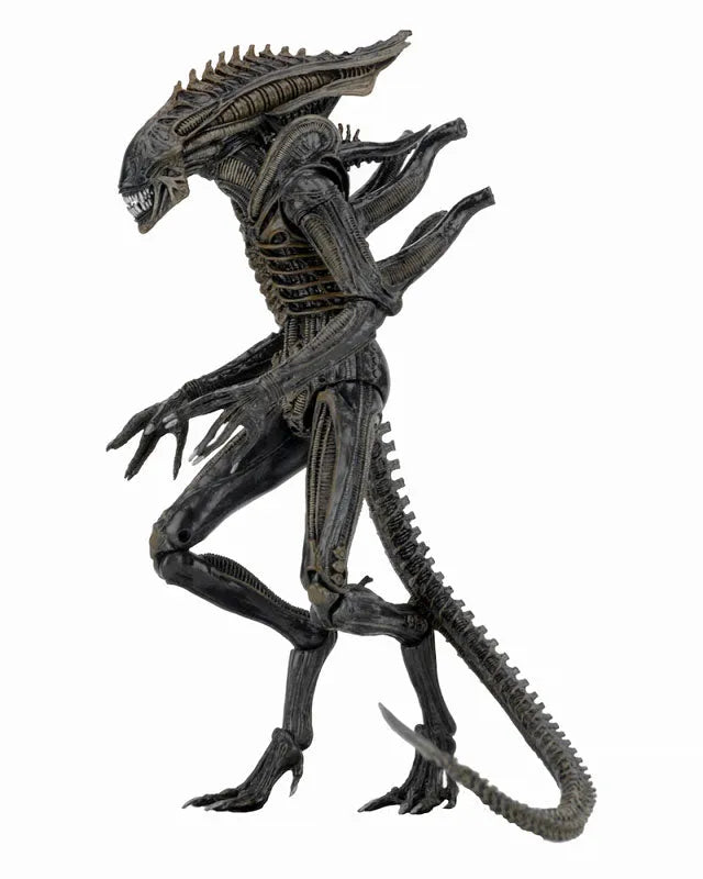 Alien - 7 Inch Action Figure Series 11: Alien Defianceㅤ – NECA – ActionFigureBrasil