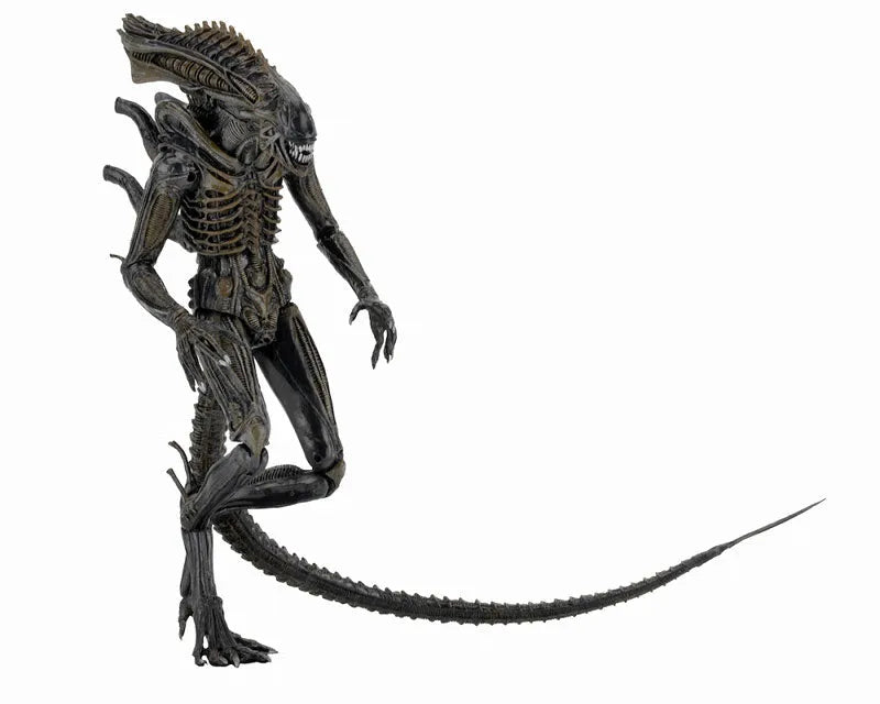 Alien - 7 Inch Action Figure Series 11: Alien Defianceㅤ – NECA – ActionFigureBrasil