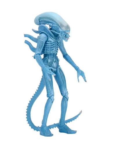 Alien - 7 Inch Action Figure Series 11: Alien Warrior (Clear Blue)ㅤ – NECA – ActionFigureBrasil