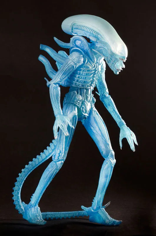 Alien - 7 Inch Action Figure Series 11: Alien Warrior (Clear Blue)ㅤ – NECA – ActionFigureBrasil