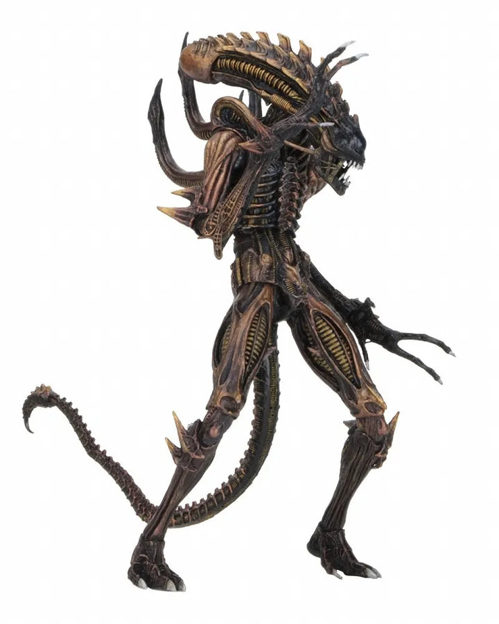 Alien - 7 Inch Action Figure Series 13 Kenner: 3Type Set(Provisional Pre-order)ㅤ – NECA – ActionFigureBrasil