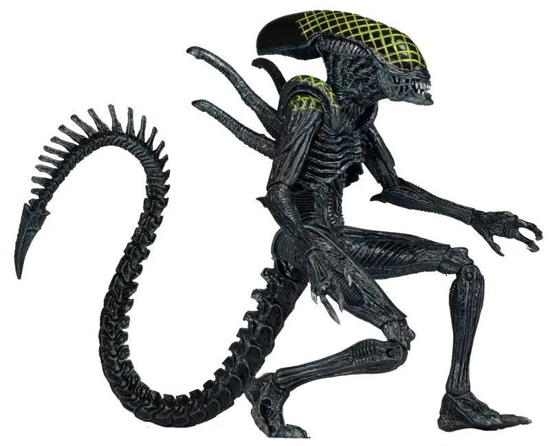 Alien - 7 Inch Action Figure Series 7: 2Type Setㅤ – NECA – ActionFigureBrasil