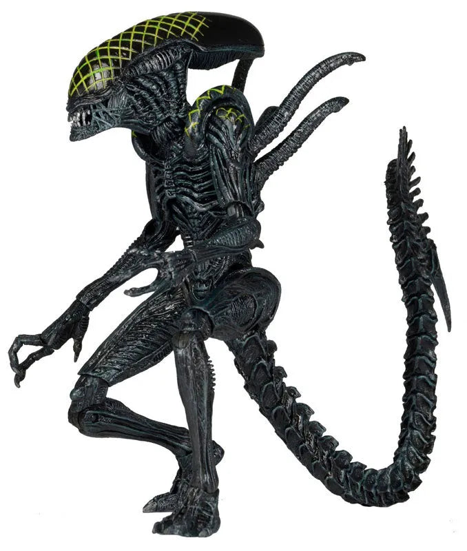 Alien - 7 Inch Action Figure Series 7: 2Type Setㅤ – NECA – ActionFigureBrasil