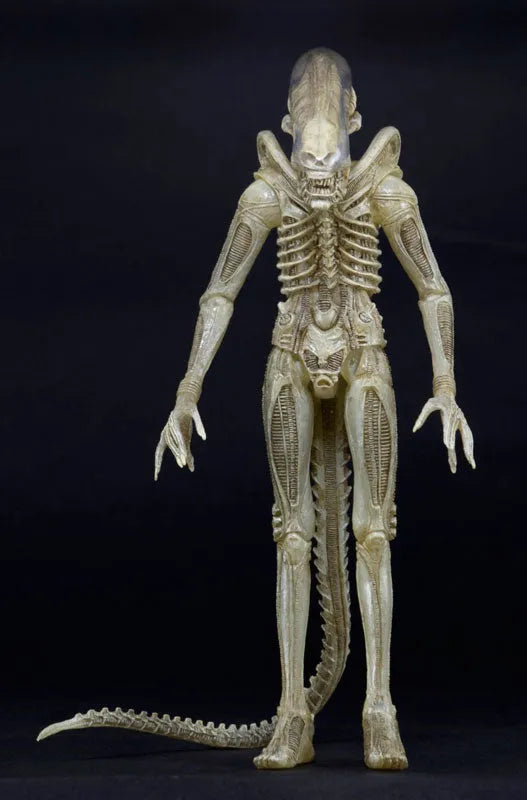Alien - 7 Inch Action Figure Series 7: 3Type Setㅤ – NECA – ActionFigureBrasil