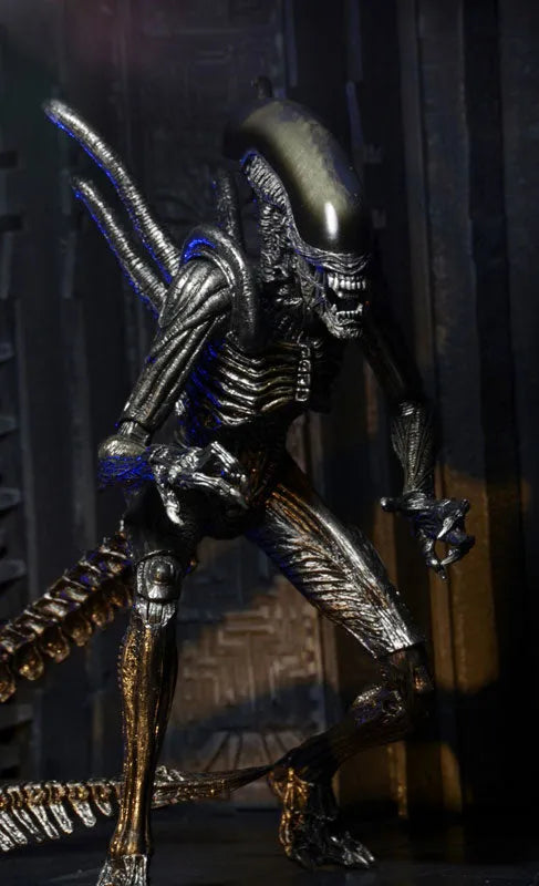 Alien - 7 Inch Action Figure Series 7: 3Type Setㅤ – NECA – ActionFigureBrasil