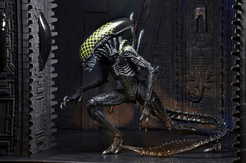 Alien - 7 Inch Action Figure Series 7: 3Type Setㅤ – NECA – ActionFigureBrasil