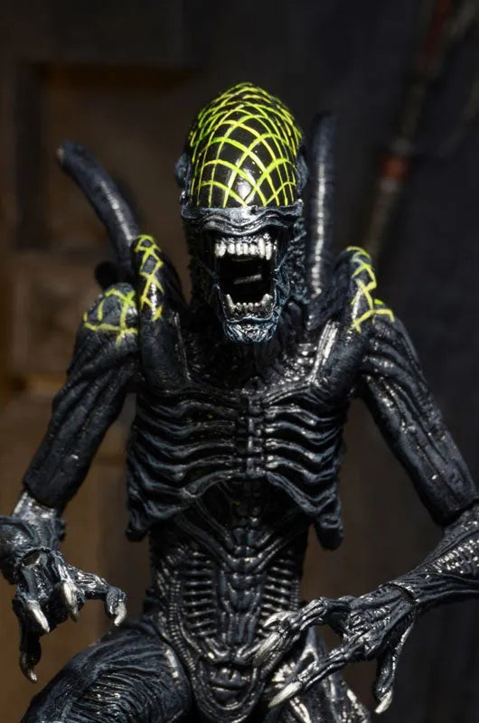 Alien - 7 Inch Action Figure Series 7: 3Type Setㅤ – NECA – ActionFigureBrasil