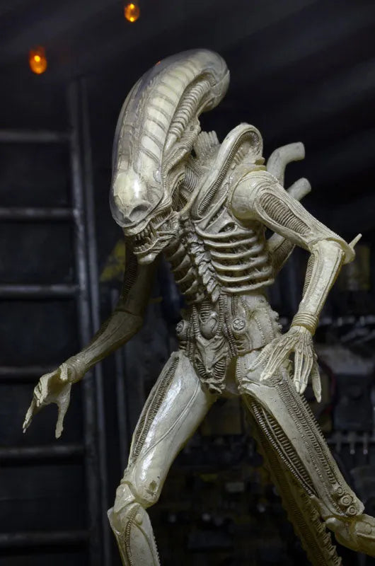 Alien - 7 Inch Action Figure Series 7: 3Type Setㅤ – NECA – ActionFigureBrasil