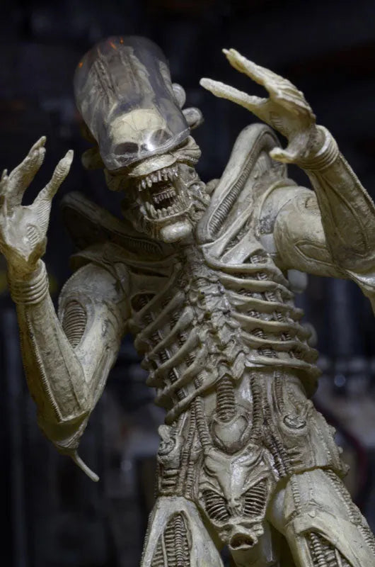 Alien - 7 Inch Action Figure Series 7: 3Type Setㅤ – NECA – ActionFigureBrasil