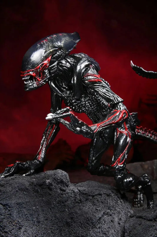 Alien / 7 Inch Action Figure Series Kenner Tribute: Night Cougar Alienㅤ – NECA – ActionFigureBrasil